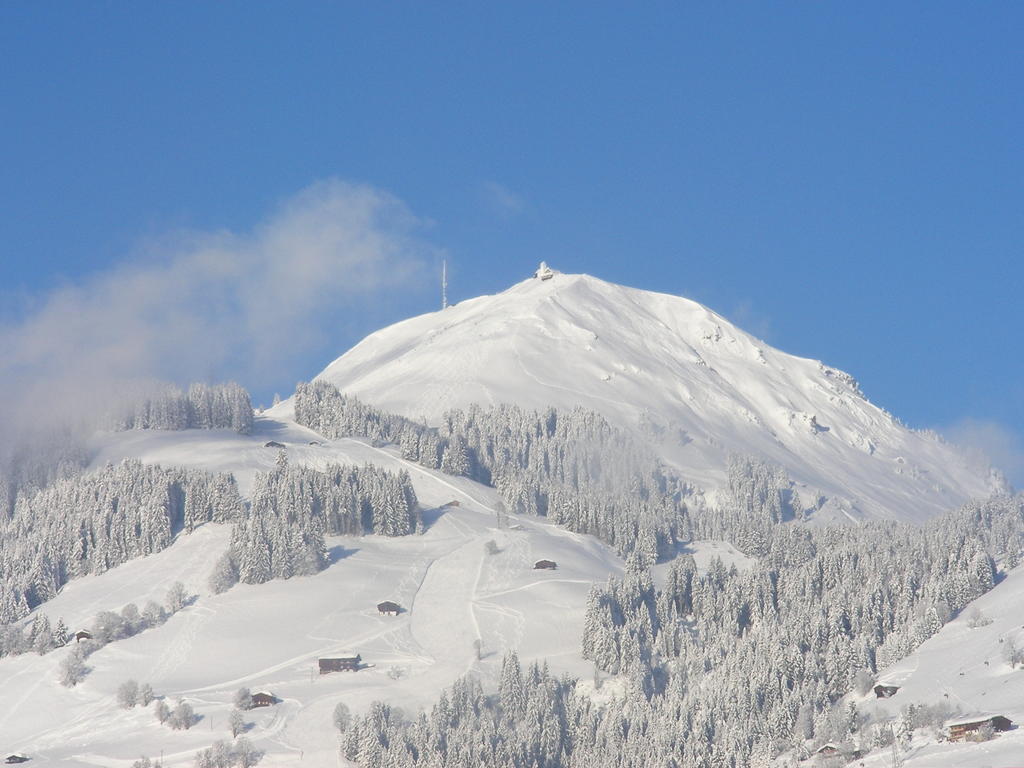 Haus Rosenegg Διαμέρισμα Brixen im Thale Εξωτερικό φωτογραφία