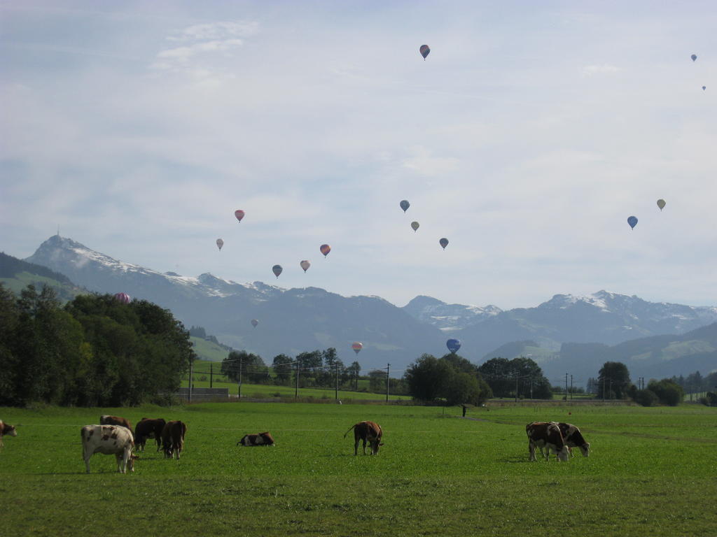 Haus Rosenegg Διαμέρισμα Brixen im Thale Εξωτερικό φωτογραφία